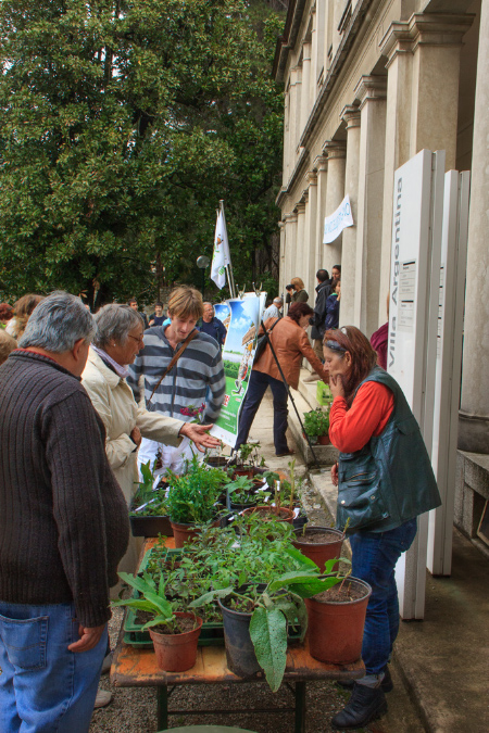 2-BdS-Mendrisio-041