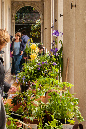 2-BdS-Mendrisio-013