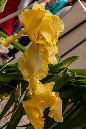 2-BdS-Mendrisio-088