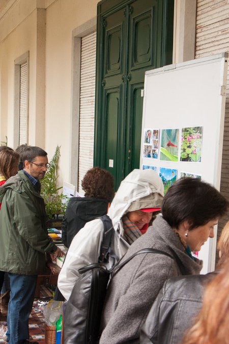1%20Mendrisio-070
