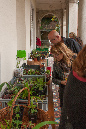 1%20Mendrisio-045
