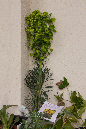 1%20Mendrisio-061