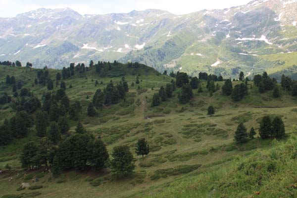 Dötra -260