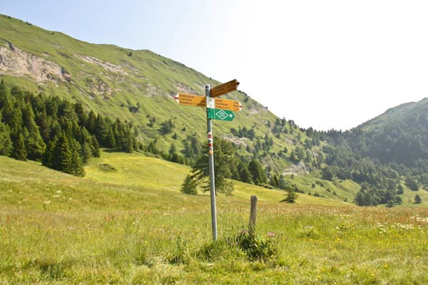 Dötra -42