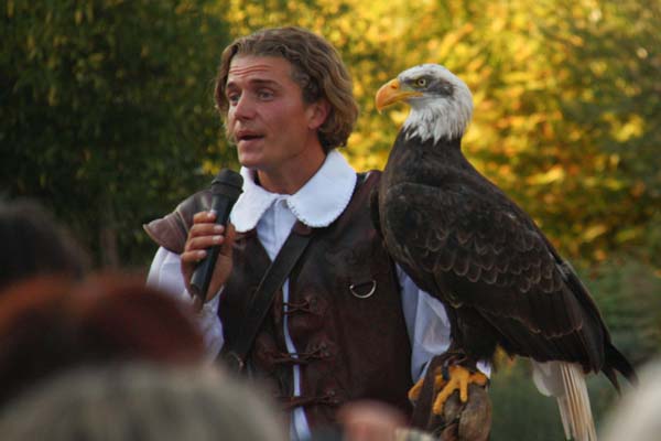 Falco-144