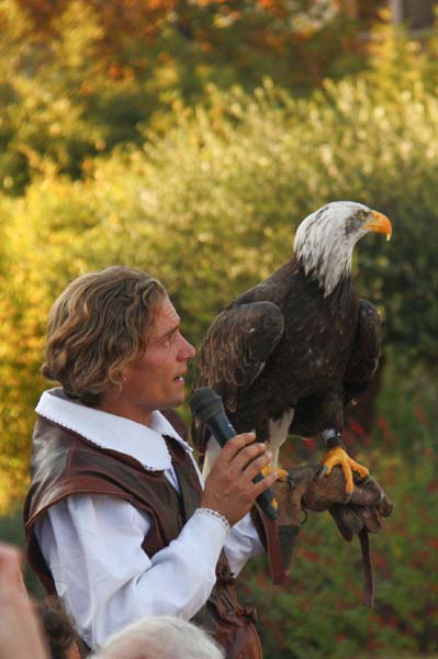 Falco-161