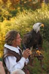 Falco-161