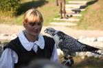 Falco-69