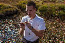Taddei_A-011