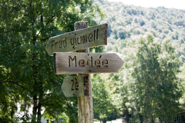 IMG_4795