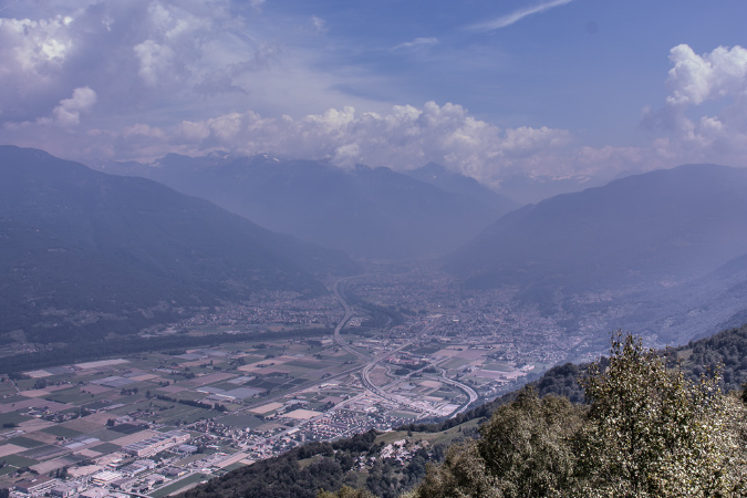 Medeglia_Taddei-029