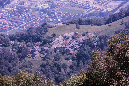 Medeglia_Taddei-028